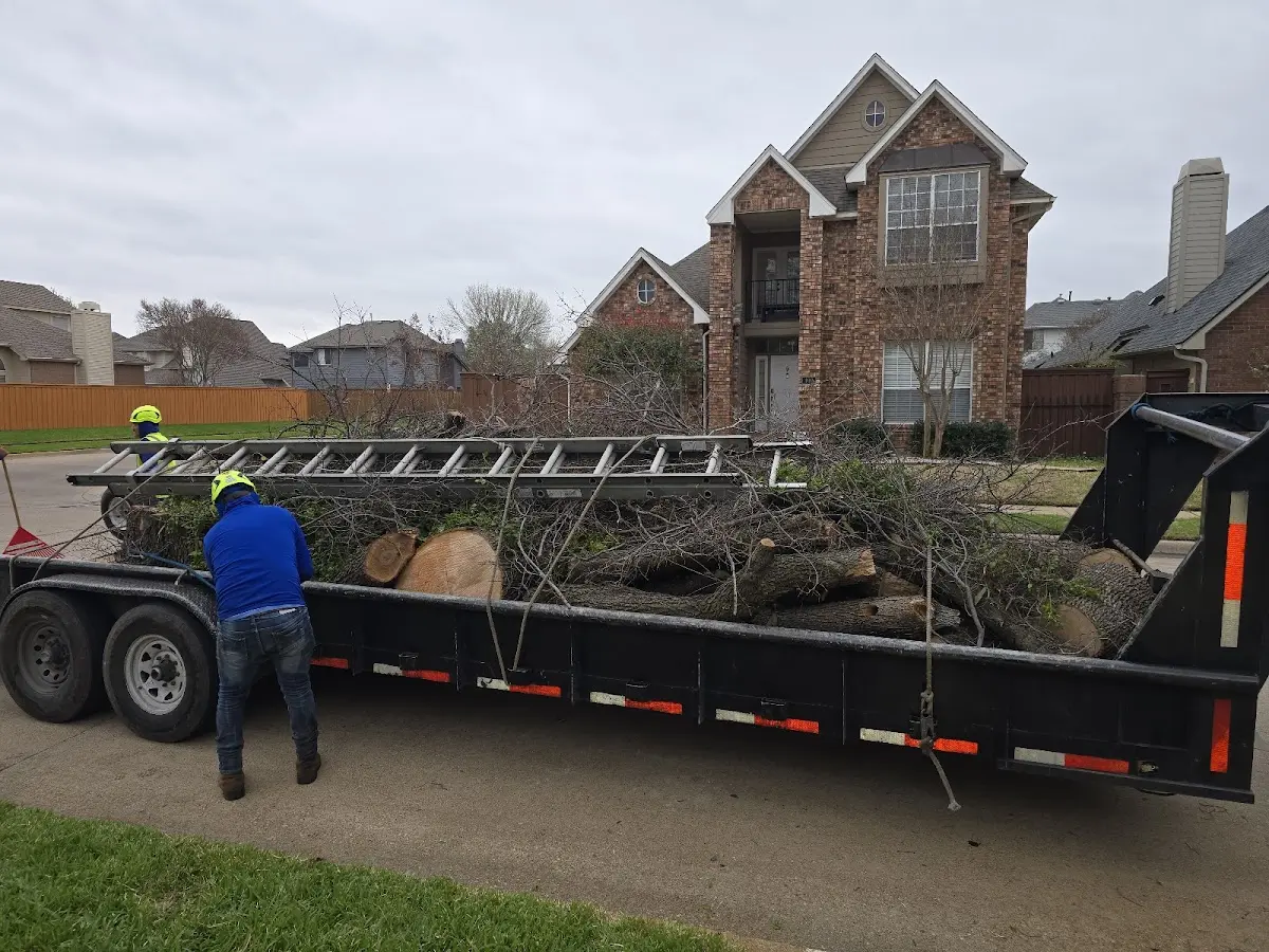 Expert Tree Removal with proper safety equipment in Southmont
